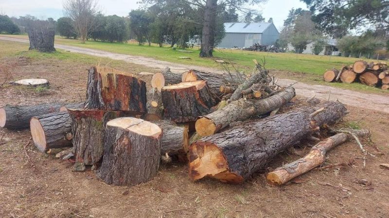 How long do you leave sawn lumber before wood turning? image one